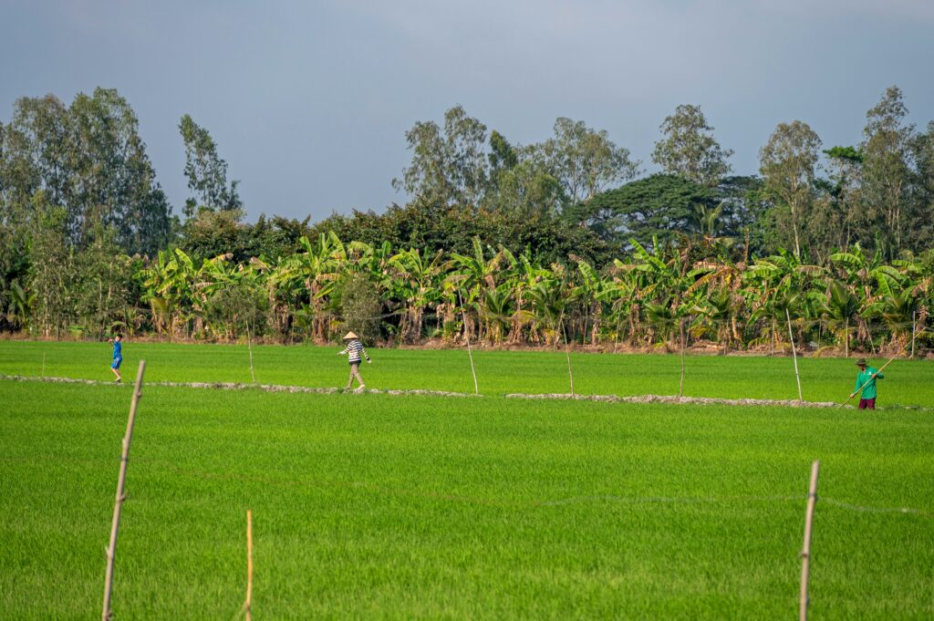 Agriculture: Transforming Agribusiness Through Modern Techniques and Digital Marketing